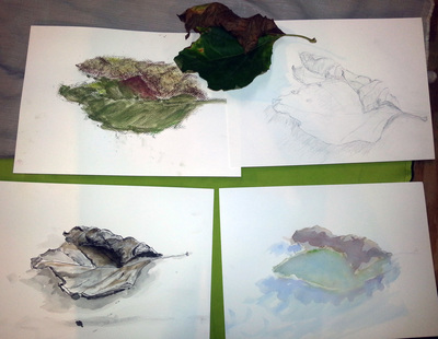 Autumn Leaf, all variations