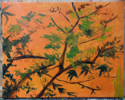 Japanese Garden, work in progress after 1 session