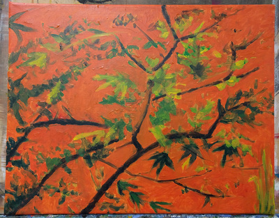 Japanese Garden, work in progress after 2 sessions
