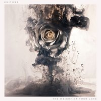 Cover art of 'The Weight of Your Love'