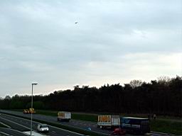 DSCF6561.JPG