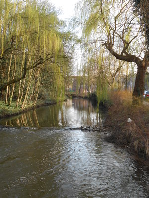 Photograph of the Dommel