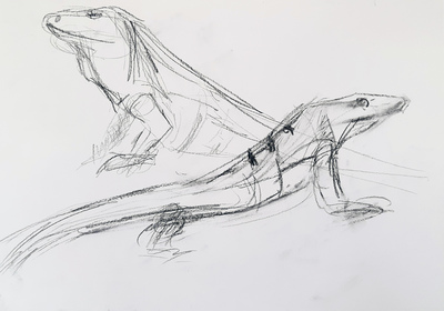 Lizards, sketch #1