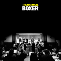 Cover art of 'Boxer'